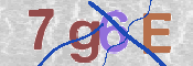 Image Anti-spam